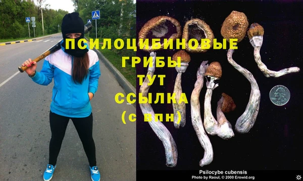 мдпв Остров