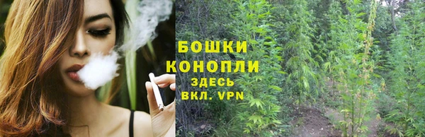 эйфоретик Пересвет