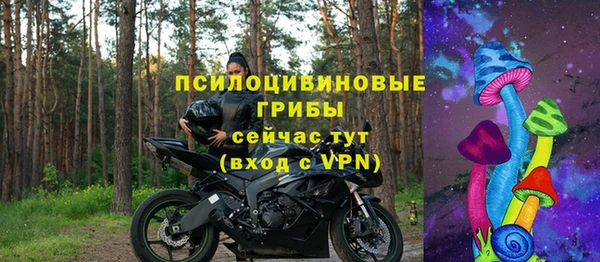эйфоретик Пересвет