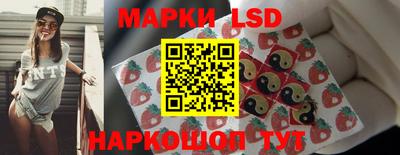 индика Рузаевка