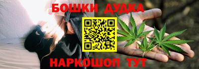 индика Рузаевка
