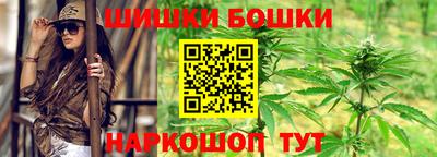 индика Рузаевка