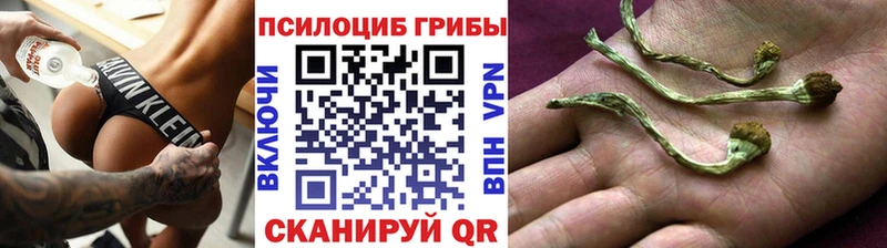 Псилоцибиновые грибы Psilocybe ссылка на мегу маркетплейс Рассказово