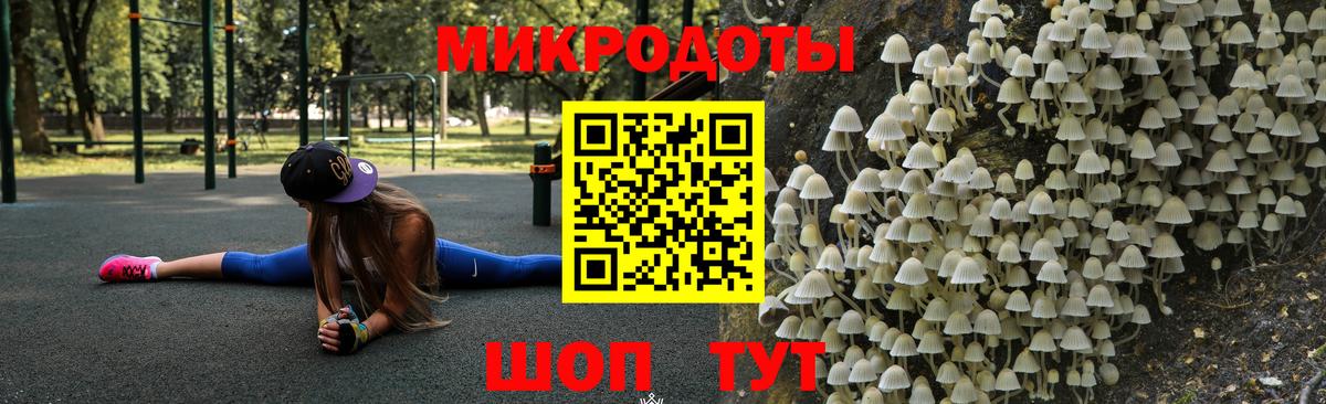 Галлюциногенные грибы Psilocybine cubensis Рассказово